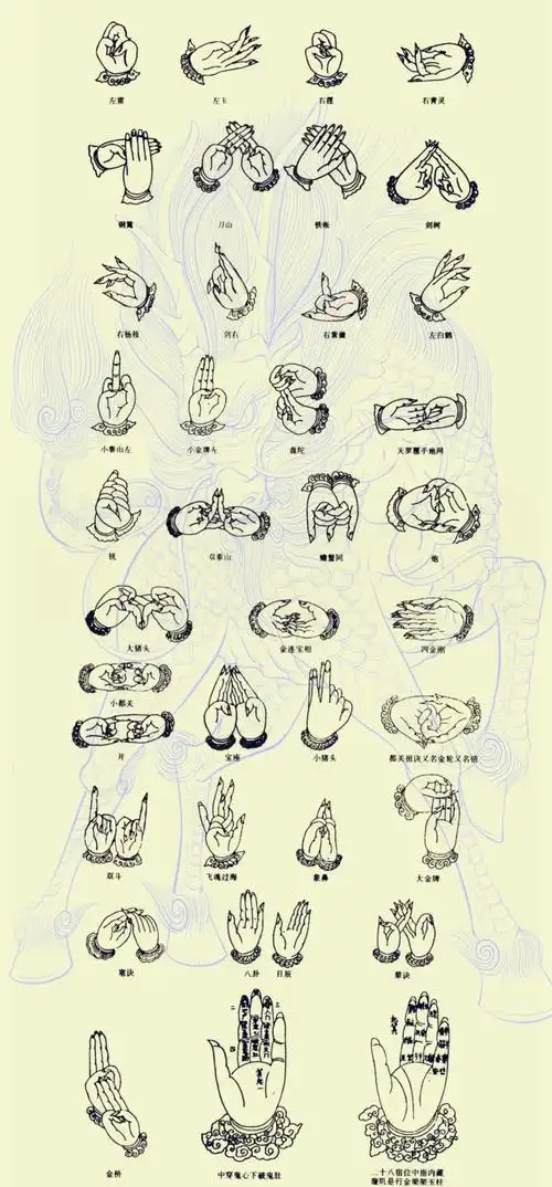 神秘东方手诀揭秘
