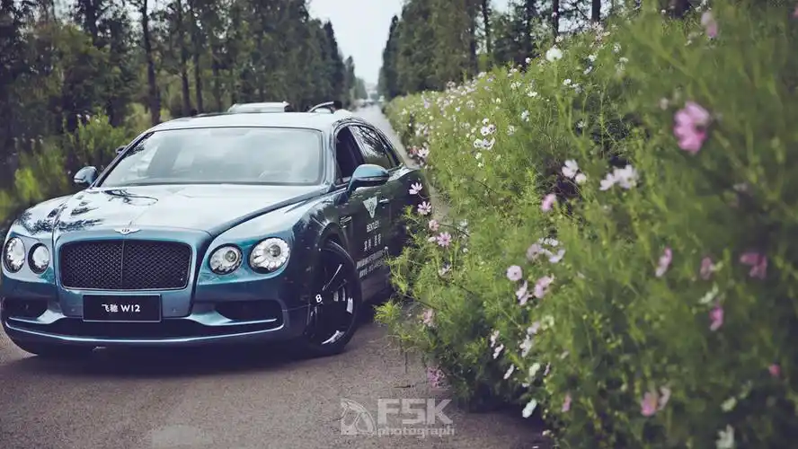 参加宾利全系试驾 车型包括慕尚长轴版,飞驰 w12s,欧陆gt v8s还有添越
