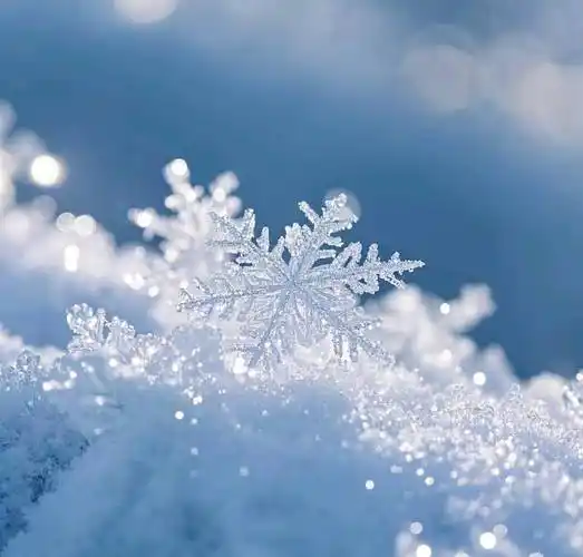 纯洁的雪花,唯美的意境