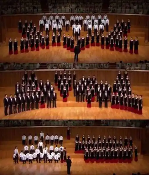 阎宝林:合唱中视觉听觉结合产生的双重美感_原则_作品_队形