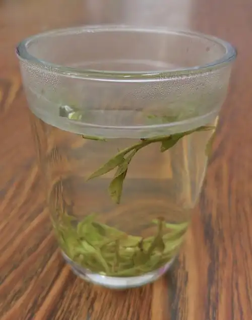 一杯清茶我拥有了整个春天