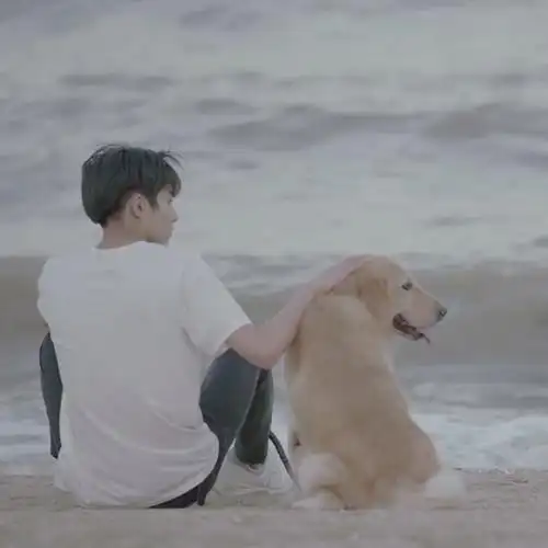 情侣头像宋威龙我与你的光年距离赞评论更多所有评论你也来说些什么吧