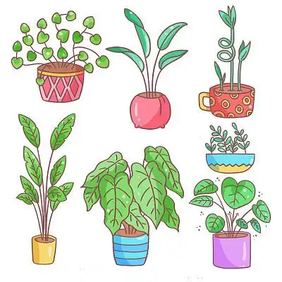 卡通风盆栽植物插画组合元素png