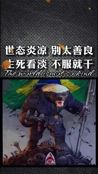 壁纸世态炎凉别太善良生死看淡不服就看