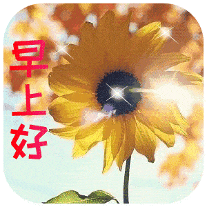 漂亮的早上好表情,你好早上好图片大全,太美了_祝福