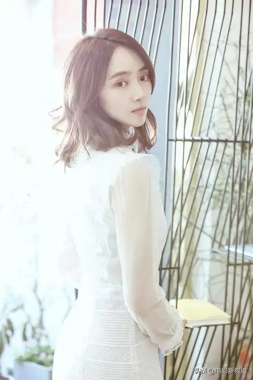 特种兵之火凤凰叶寸心最后怎么了(特种兵中的叶寸心)