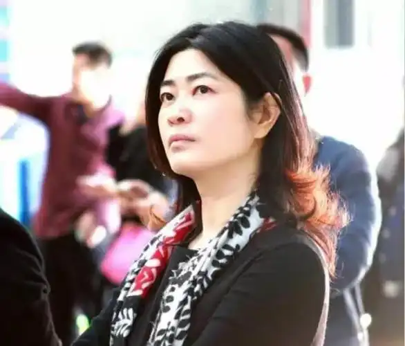 第十三届全国人大代表,湖南佳惠投资有限公司董事长李小红