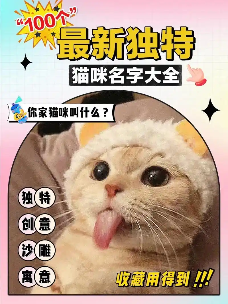 100个独特小众有创意的猫咪名字.很多新手养猫在为小猫取名字 - 抖音