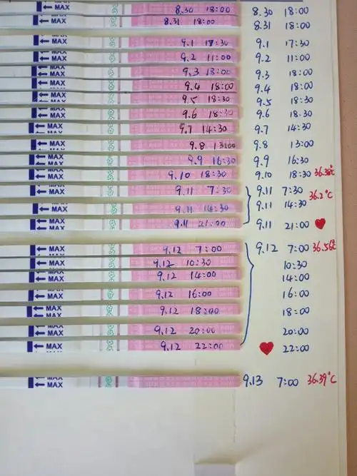 优美孕!排卵试纸的用法"愿意去做"-第2张图片-天福博客