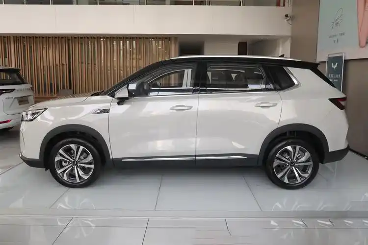 五菱星辰:6.97万起,外观靓丽,配置丰富,家用很合适