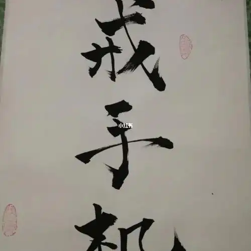 更年期自治:第一步戒手机