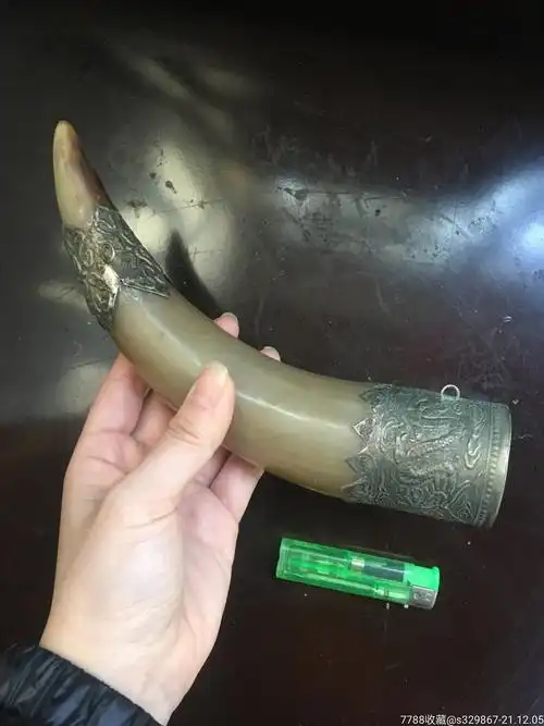 藏银龙纹镶边白牦牛角挂件