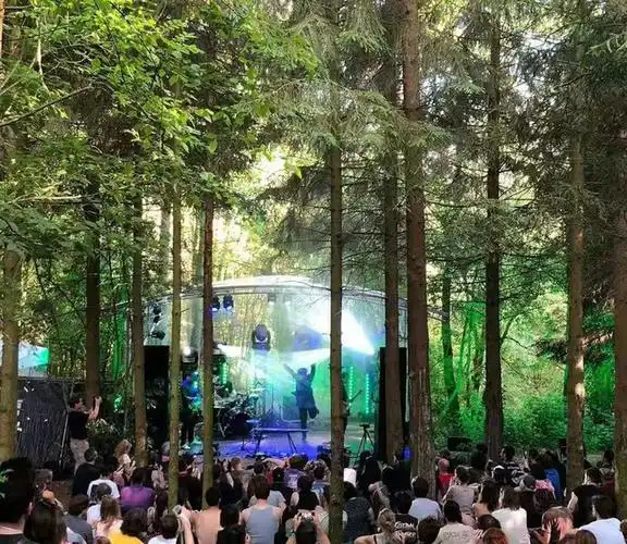 音乐节的森林舞台