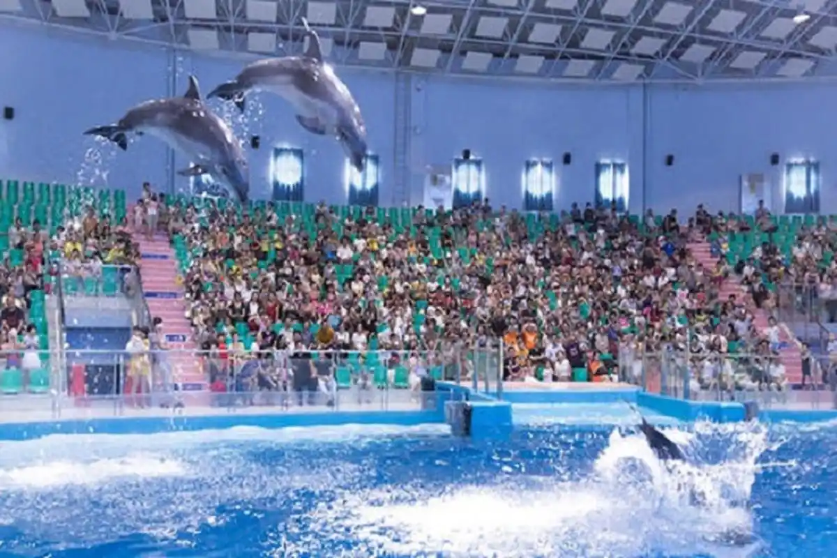 鼓山    6. 罗源湾海洋世界    7. 福州国家森林公园    8.