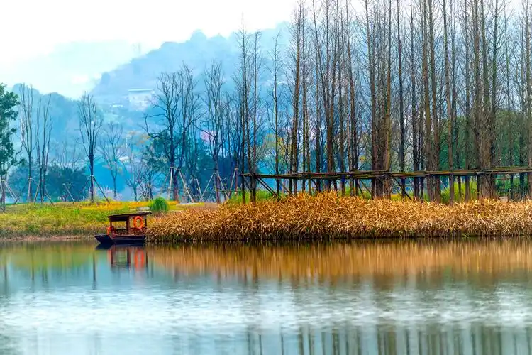 重庆南岸广阳岛 - 陈哥307 - 图虫