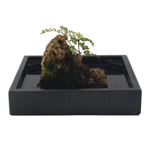 吸水石底座无孔山水盆上水培容器乌金石头花盆花器园艺微景观