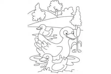 鸭妈妈和她的小鸭子2022-02-125小鸭子简笔画动物简笔画如何画鸭子
