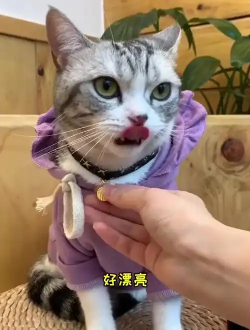 这是泡芙第二次见到安生了,关系好像缓和了那么一丢丢,太难了!