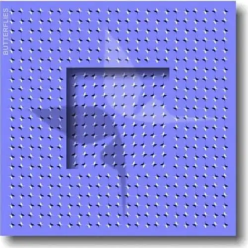 11副错觉图片,证明我们的眼睛非常容易被骗