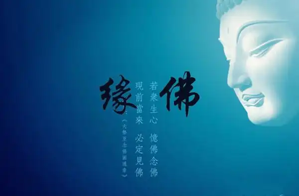 九肆点金:黄金投资新手具体怎么操作才能赚钱,亏损了怎么办?