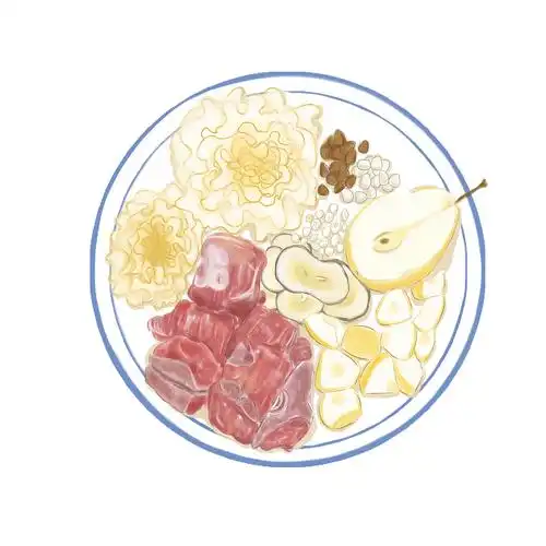 手绘汤疗食材|插画|商业插画|ceibaj_原创作品-站酷zcool