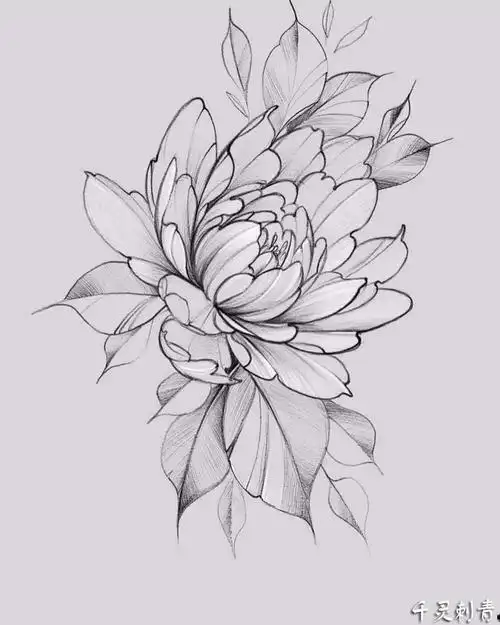 纹身手稿线条花朵,纹身手稿线条手绘-图片大观-奇异网