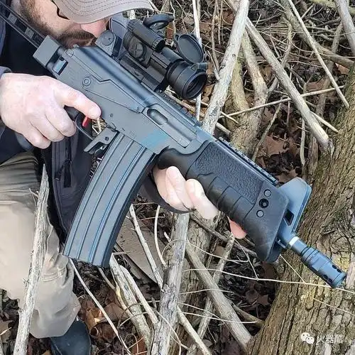 与时俱进子孙众多以色列加利尔系列步枪图集