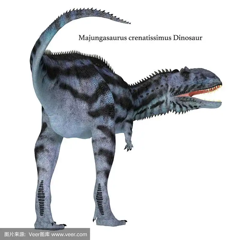 玛君龙的恐龙尾巴