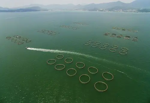 hdpe c60-c120深水抗风浪网箱