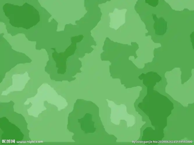 迷彩图片