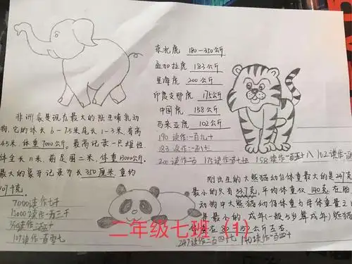 垦利区第三实验小学"我与野生动物做朋友"在线教育项目式学习之二年级