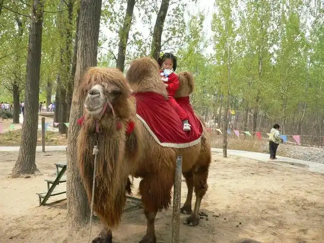 北京固安野生动物园2006.4.21