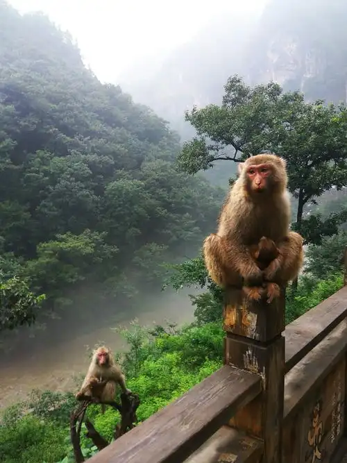 寻找蟒河的源头