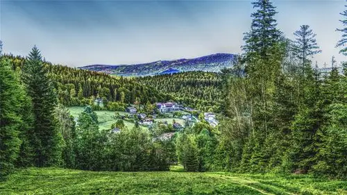 绿色的原野风光高清桌面壁纸