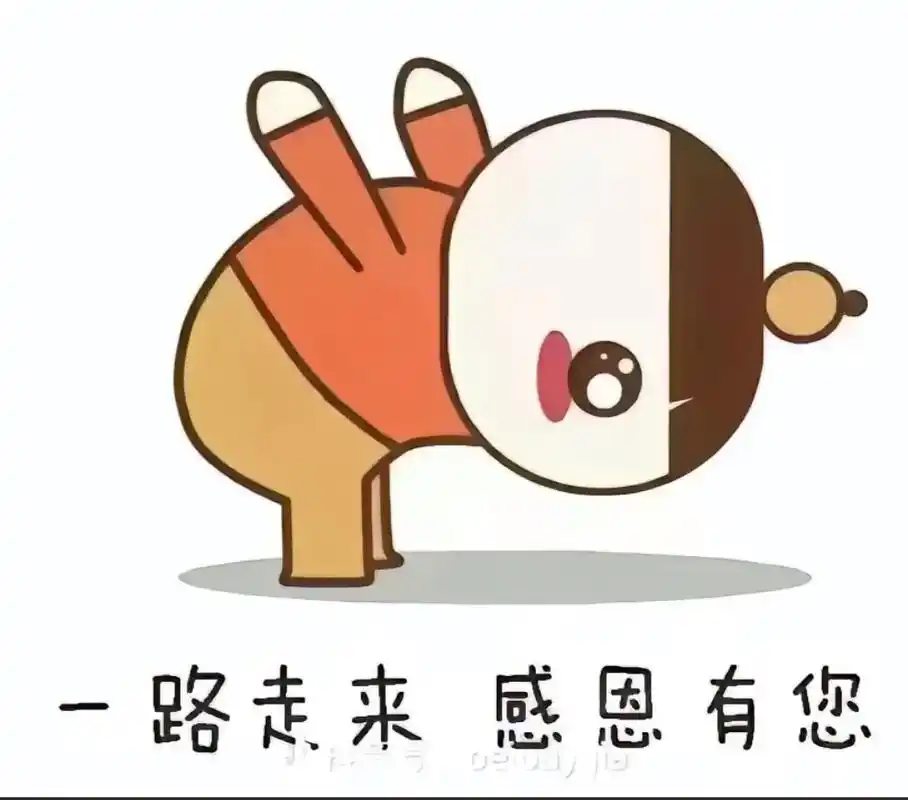 2023已过2024我们继续 不负遇见 心存感激,感谢各位支 - 抖音