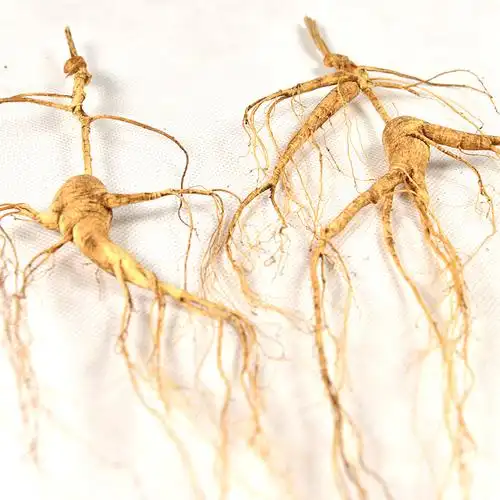 水乳的作用和功效附食用方法和禁忌