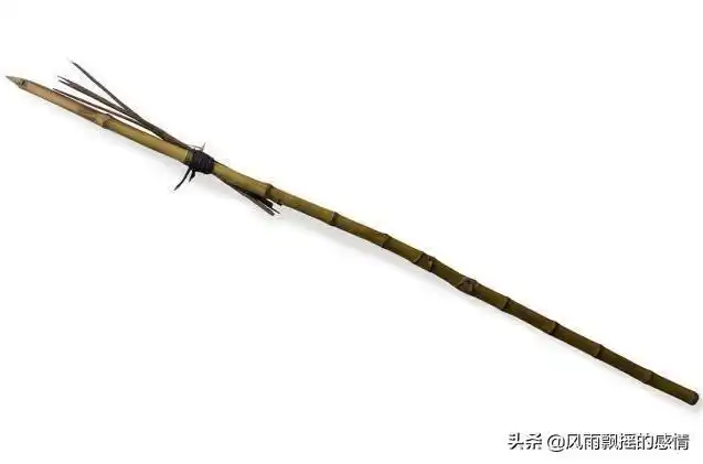 6米长的步枪,这是互补!日本战国"竹枪"传统_长枪