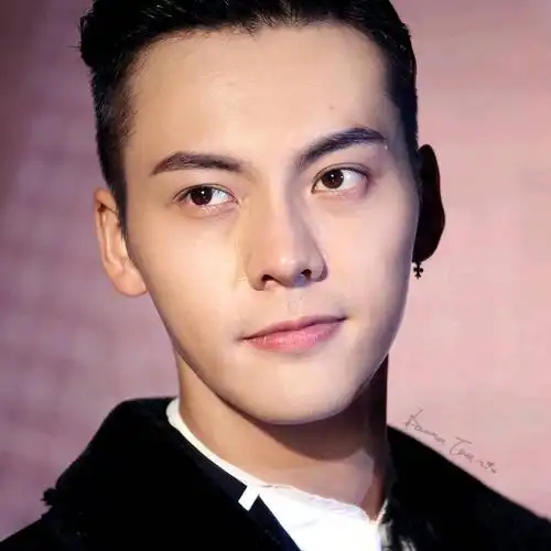 与马天宇的"上大下小"不同,陈伟霆的脸型略呈"纺锤状":两头小,中间大