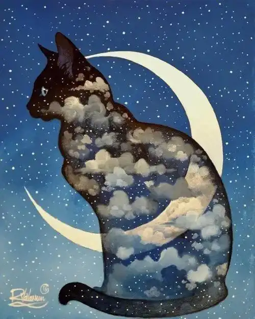 当星空遇到了猫