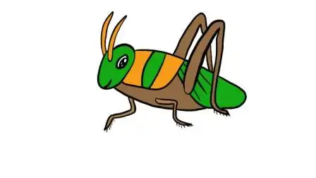 蝈蝈简笔画丨亲子绘画涂鸦,育儿益智画画教程视频,教小朋友简单学画