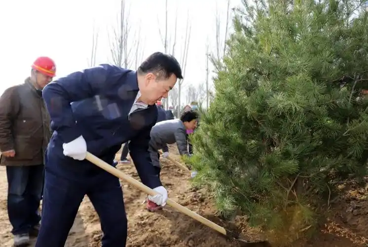 党晓龙闫继红等市领导参加春季义务植树活动为现代化品