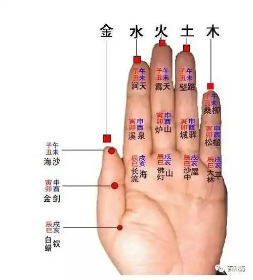 六十甲子掌法非常好记