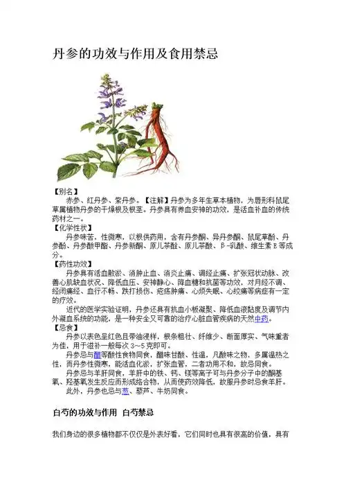 天麻钩藤三七山楂龟板治高血压_丹参三七山楂天麻的功效与作用机理