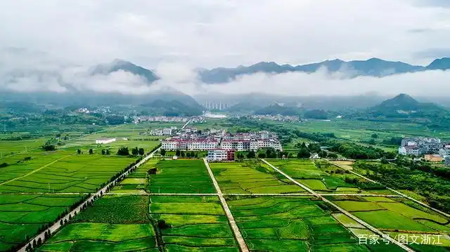 这是2020年6月25日拍摄的浙江省台州市仙居县横溪镇乡村田园风光.