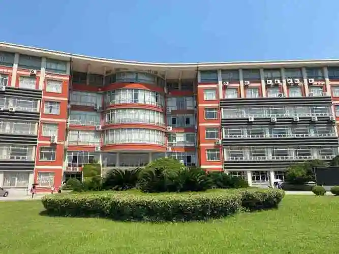 上海震旦职业学院-"学校一条小吃街,每家店门口都贴着无证经营.