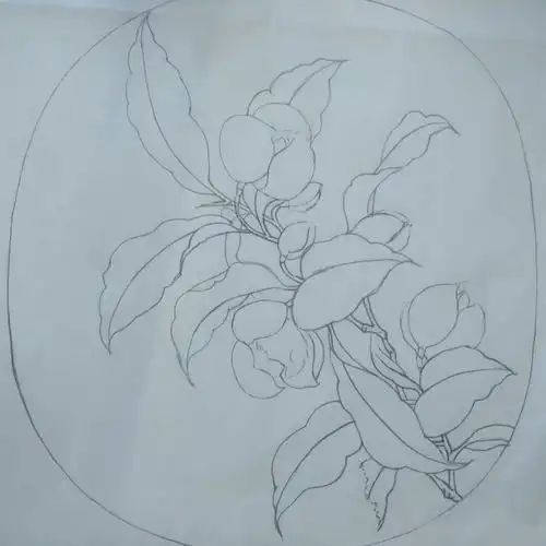 一日一花一祝福