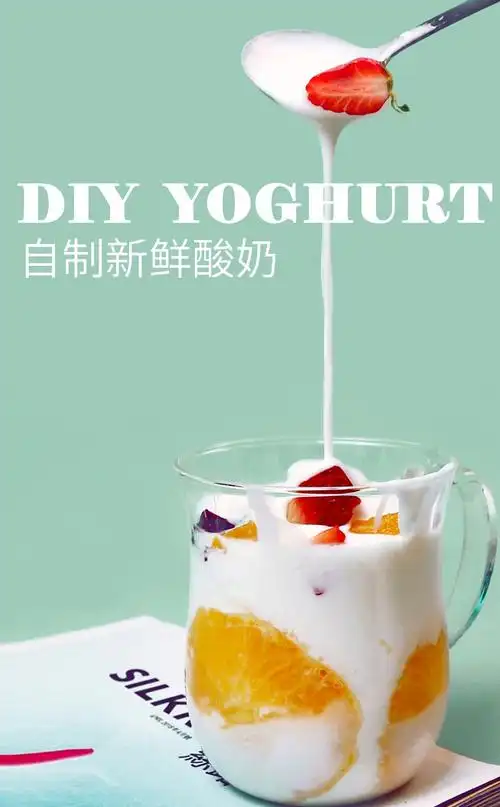 川秀酸奶发酵粉益生菌家用酸奶发酵剂乳酸菌发酵菌粉酸奶粉酵母菌种