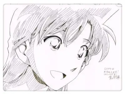 柯南毛利兰图片