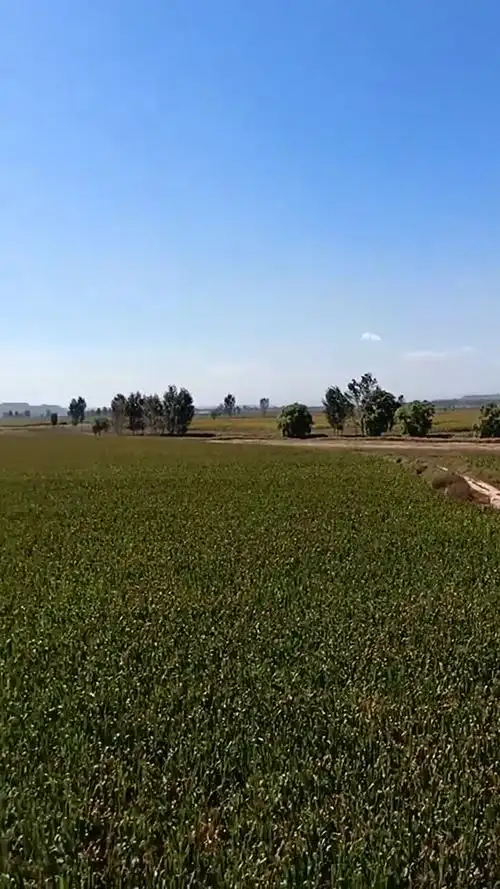 汾河谷地的秋色美景,你见过吗