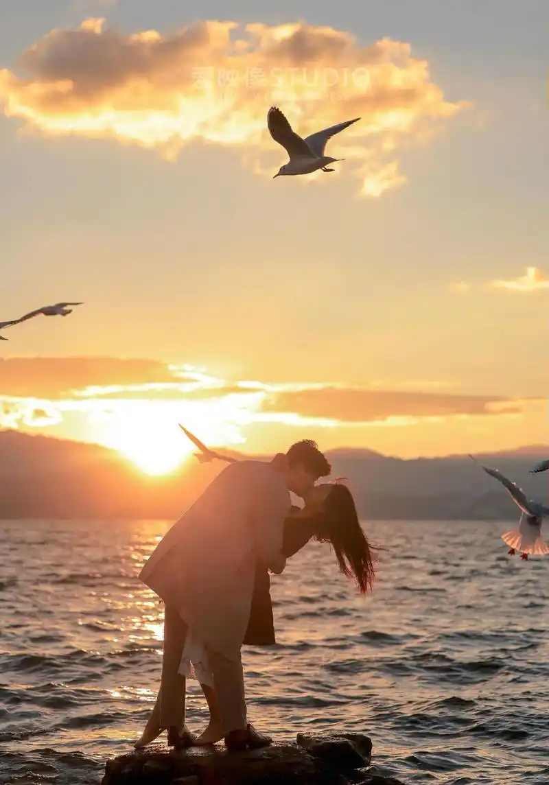 海边海鸥婚纱照.成片海鸥为爱情歌唱 和爱人来一场浪漫的邂逅# - 抖音